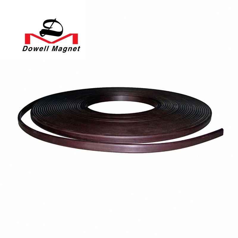 Magnetic Strip Seal