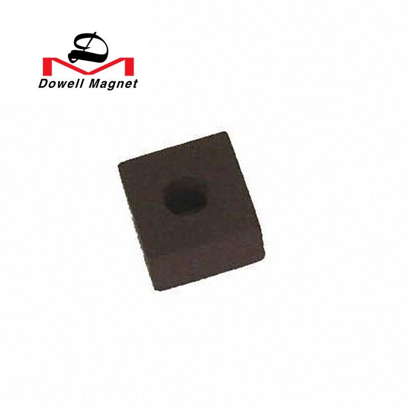 Anisotropic Rubber Magnet