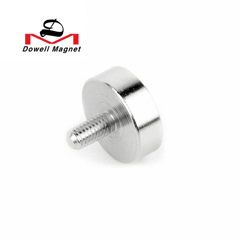 Magnetic Screw